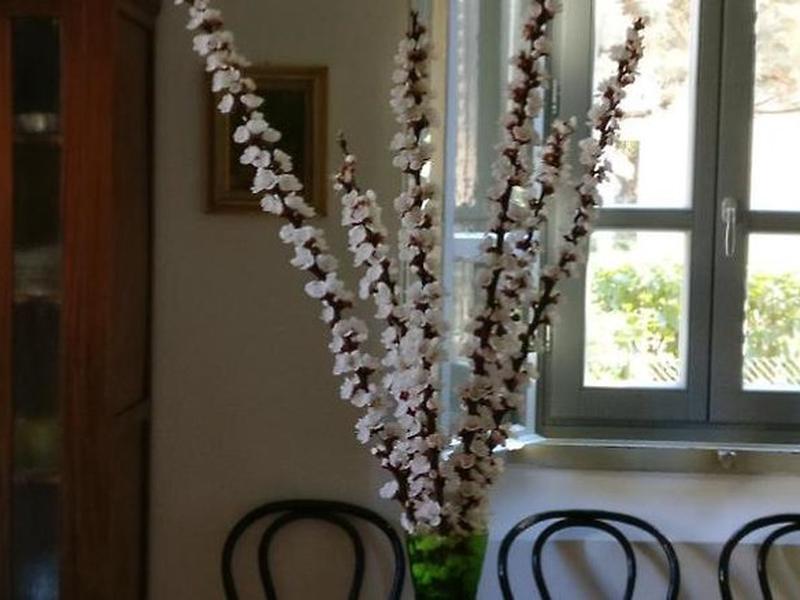 F4242E2975EC907877C9FB75214E813F