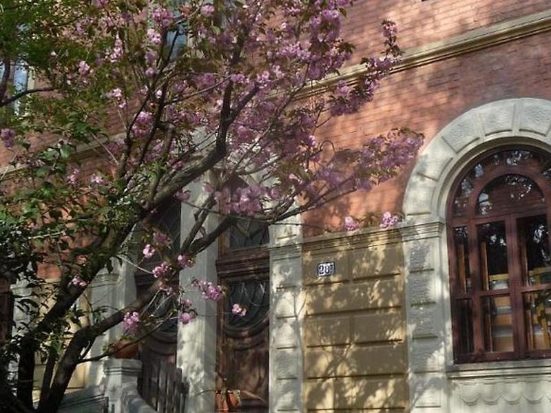 320738C4A66CF81CBD226370B44C8468