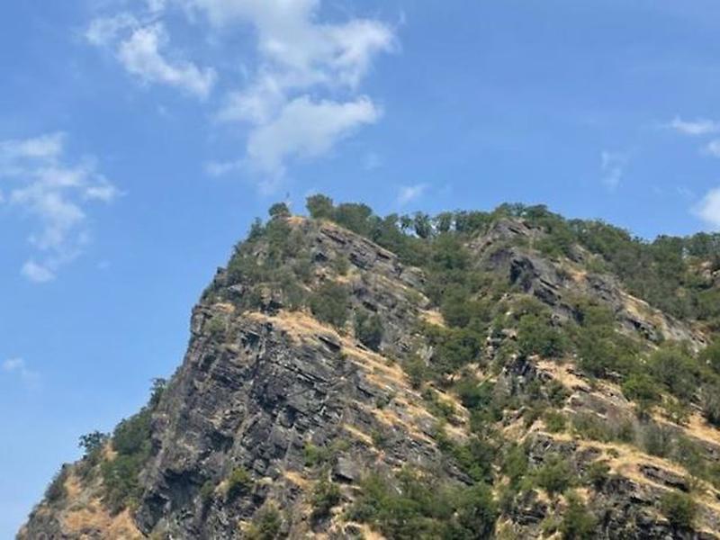 8BE50572F5C88C05C773DAF321CF6D8D