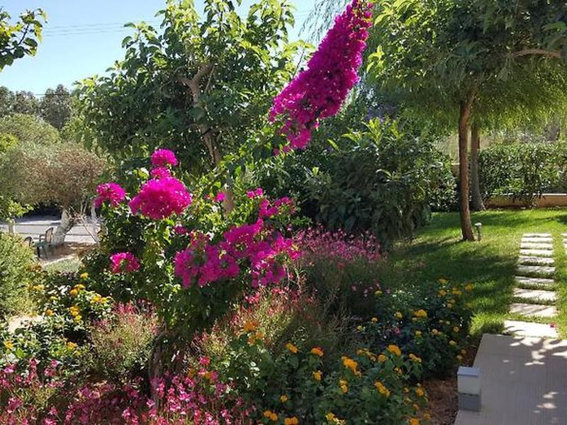 C748A1596D9030FC19C2127655464C03