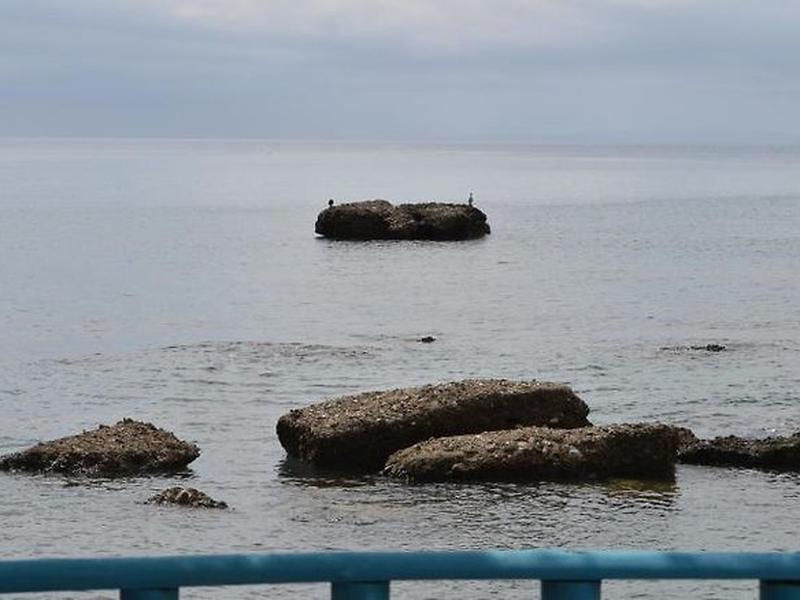 2C7049D2D86726DB54A1AF826916FADA