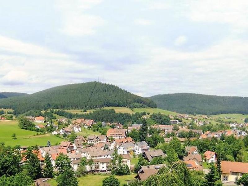 321FACC77373136A29E20F4FE6820C75