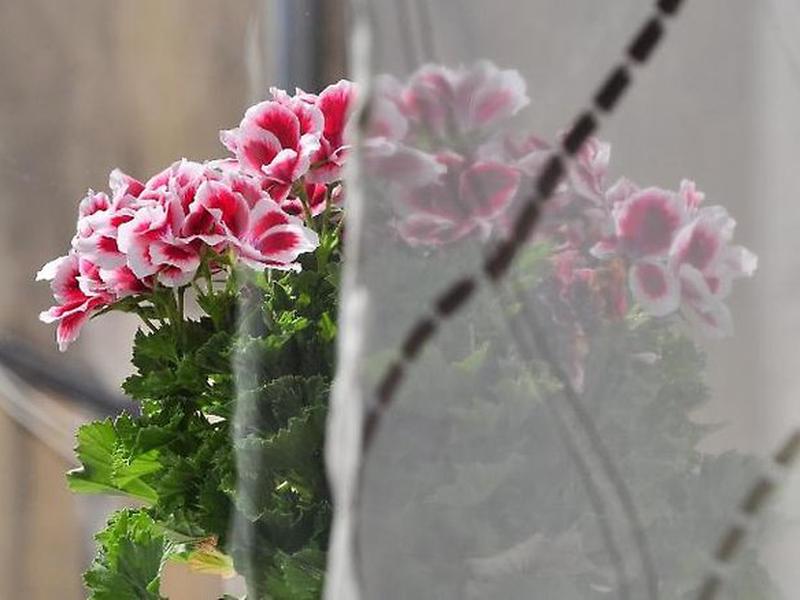 D964B1700513A959DEE07B2FC3409BAF