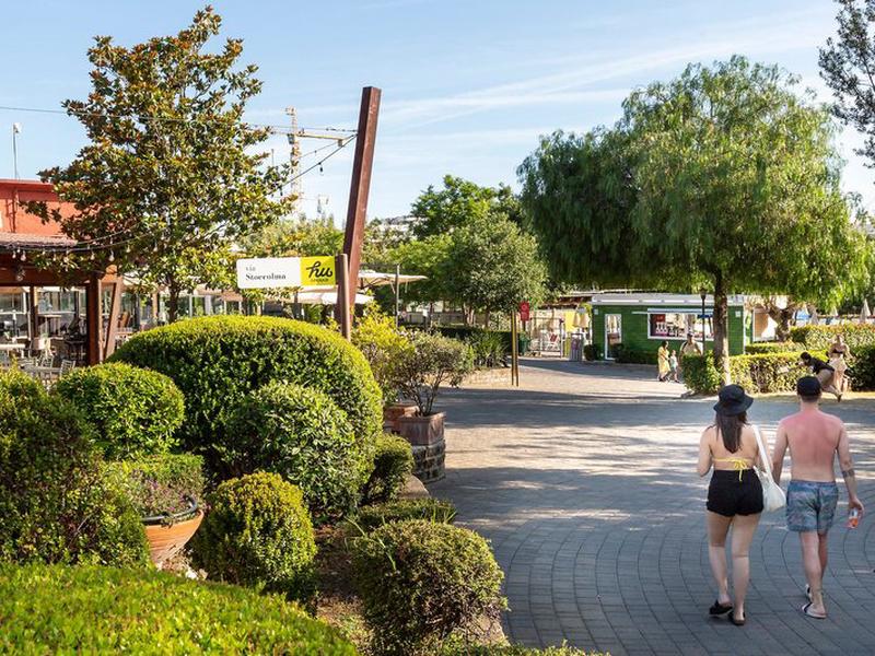 155B75BE7C6A6308B91F9D3043568073