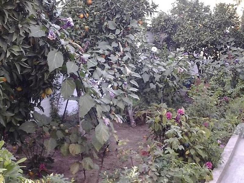 7FE52A7E430430BB4FC7FE9299BD6D33