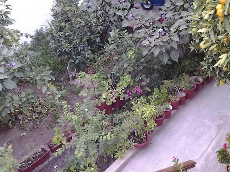 04A282B72986C7F2DAB4DAEFADAA8C78