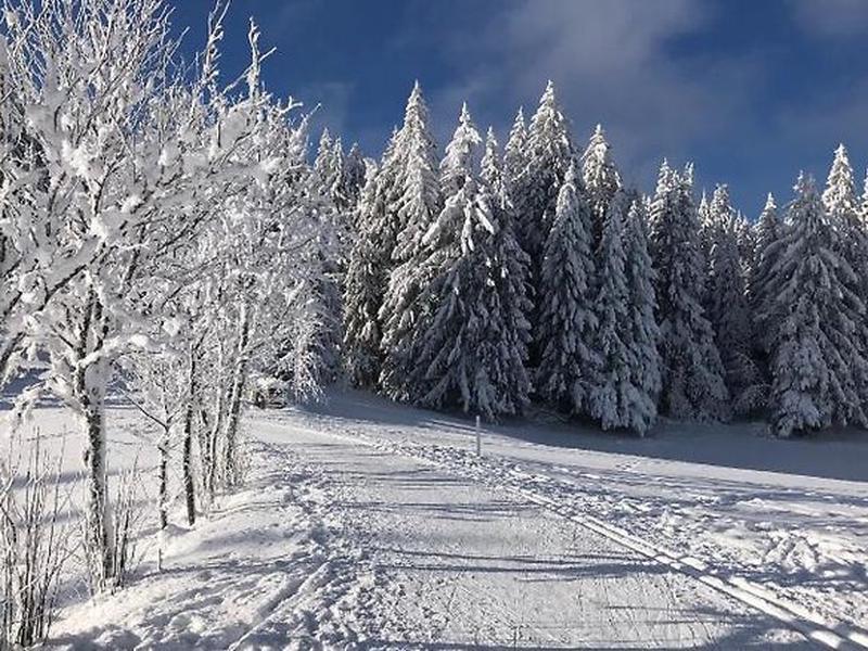 7C86E8CCC5CF97C0FEC4B5E5F3E844C5