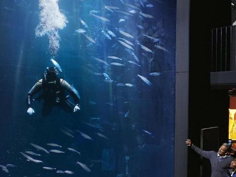 7090A419FF41772B7C90C449FBF16351