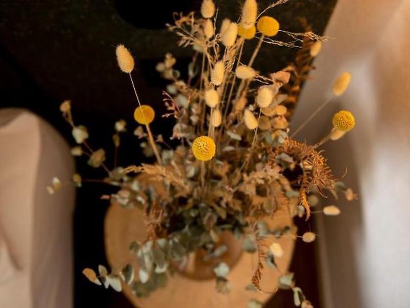 11485BEE9FF12E7DBA6B9D07CB246B72