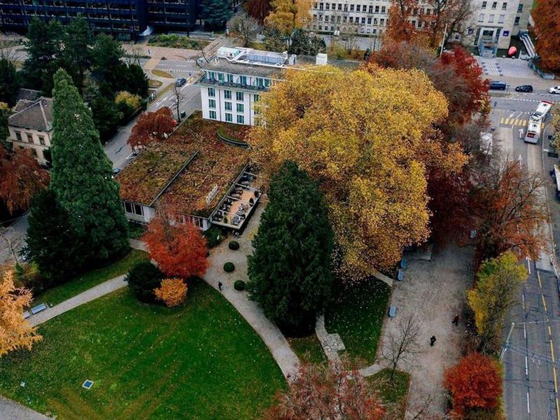 F26156791071942595C1785A51144955