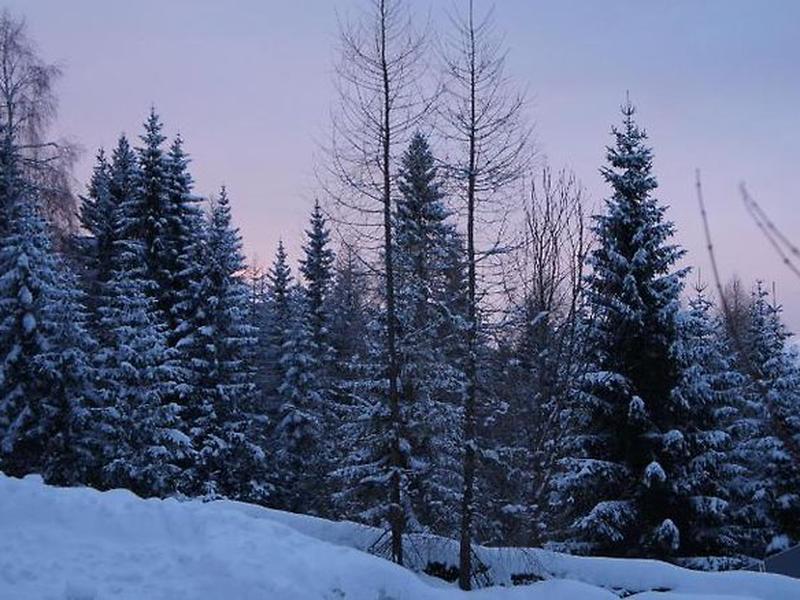 F6F4DB2DFDF9E8E023D4915BD4D6DAF2