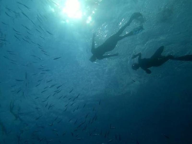 AA21473E83A6818E6CB20D79CDB11470