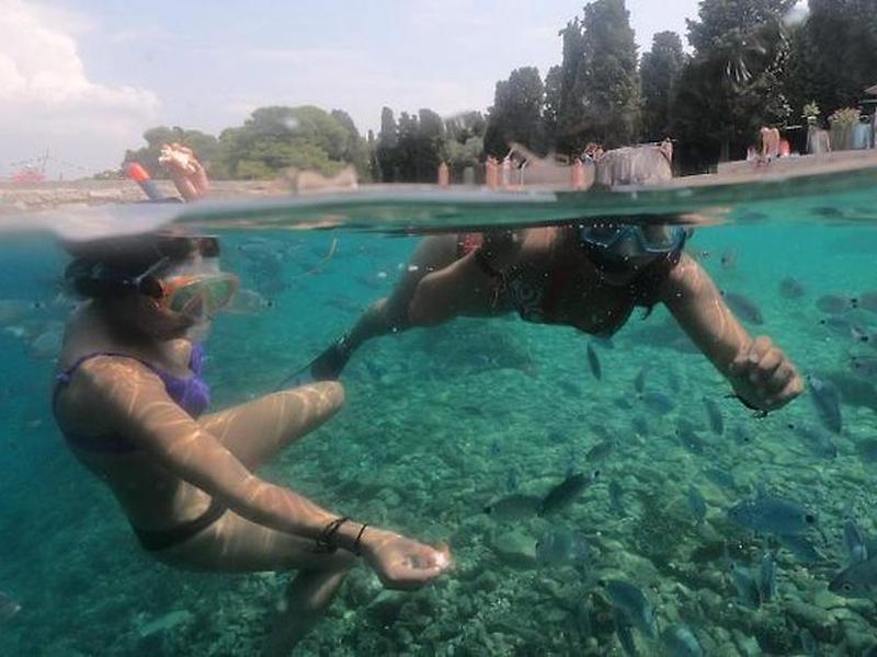 B0842751B76CEE6EF9B11B10AF5D9D4B