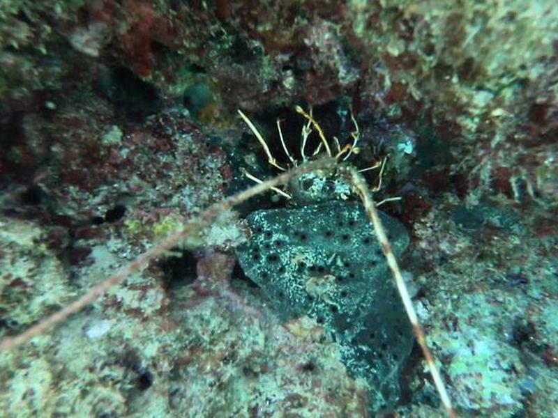 9B278823FE374F1EEA1749F89F2EE35D