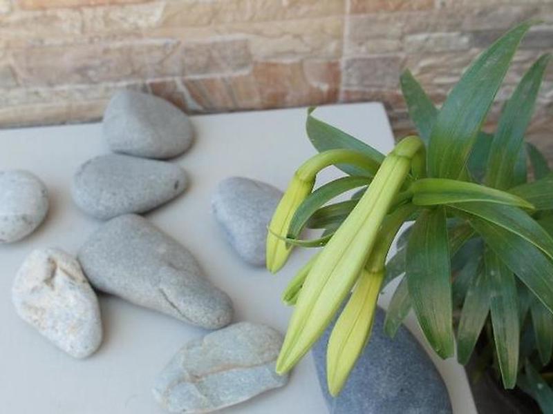 DA999473C8CD8D6BA11247F1AEFBD831