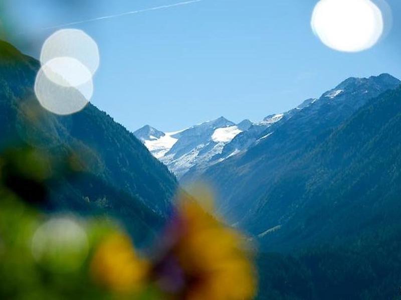 1D17EA6209E0950675595491232AF00F