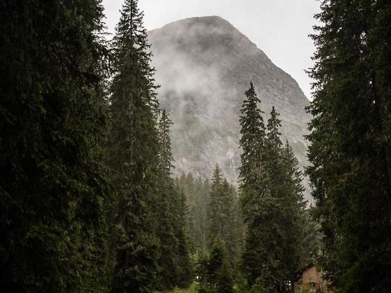 8FB757A4A784734D4F3D4FEF39345DDE