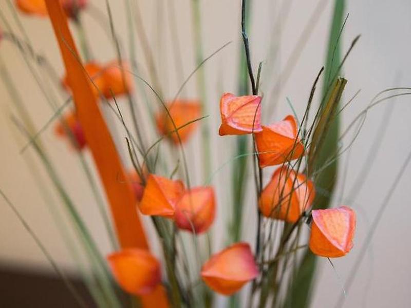 22E31DAD453C819A48D519E6F57C9801