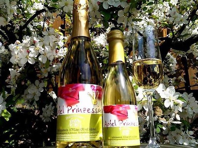 C8B5ED14EB04B3F6FEA7D5FF1E4CCADF