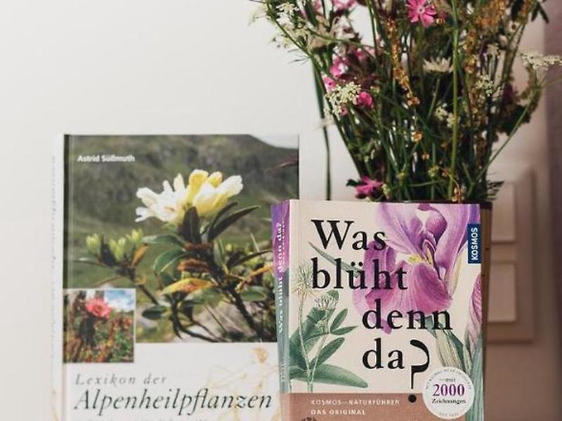 2E4CC927C77D1D32E8BF203419B31455