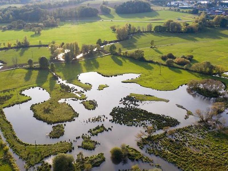 9CBFD124351D8E1E2D62EEDE8E926C1C