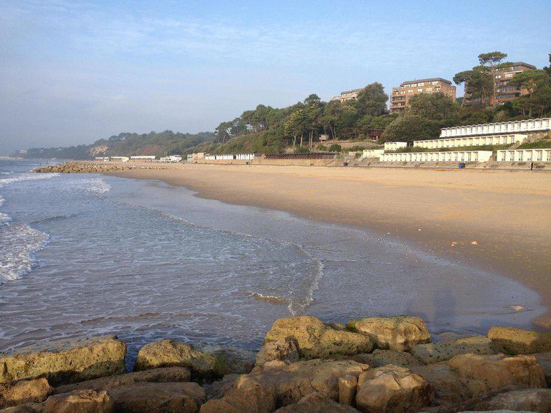 C91F6B955B0B7069547AAD9A29E6C93D