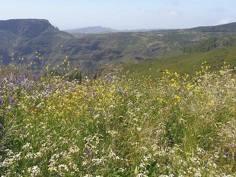 3BA47415D26BCC3CDC9CF4BCE0A77B98