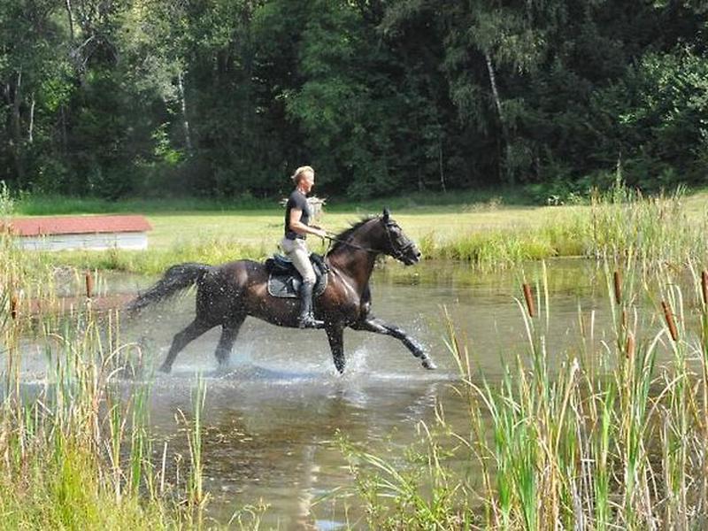 CBFC9F33C019FD1775969915603C4023