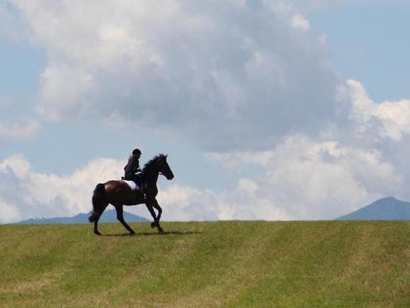 0D74B9883F7EEC86AEEC09DDADA9F411