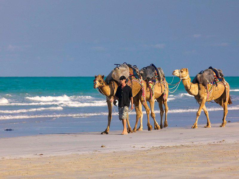 500B8AC98E8629110626B732612EFBC1