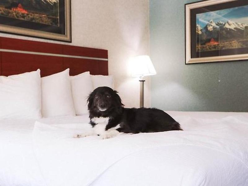 D77FF8131BD14CFF75CD03D8909D5746