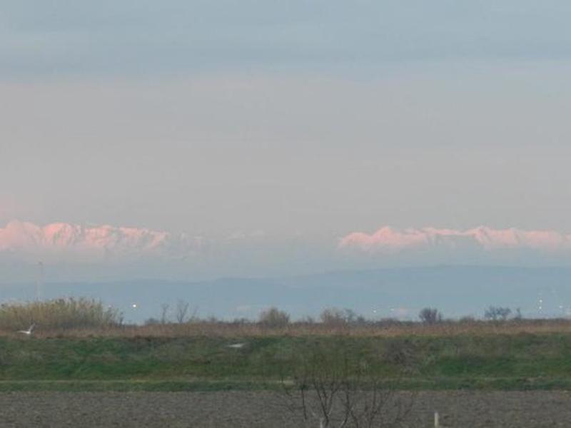 46C72A693D8031A795E849BE4E0A2172