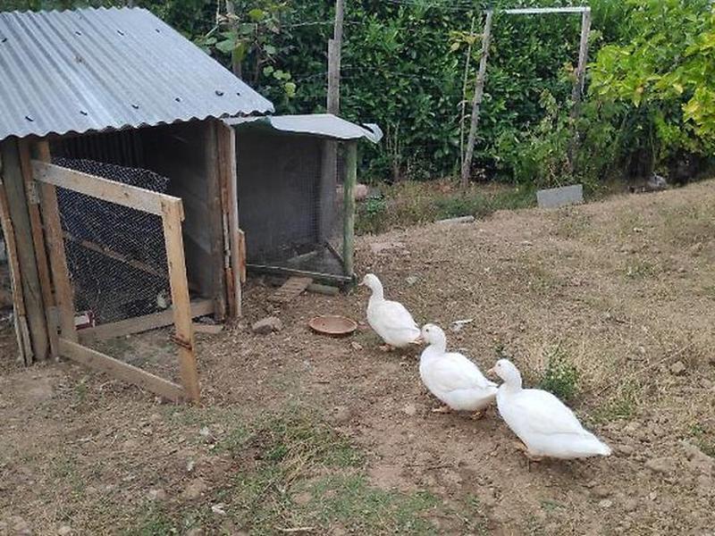 05D6C7C37A1F9B783134E65580776F3E