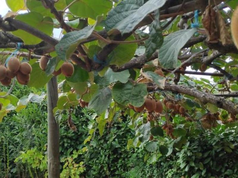 34AA879EC773649FEFCAD7BFFEDA9EEC