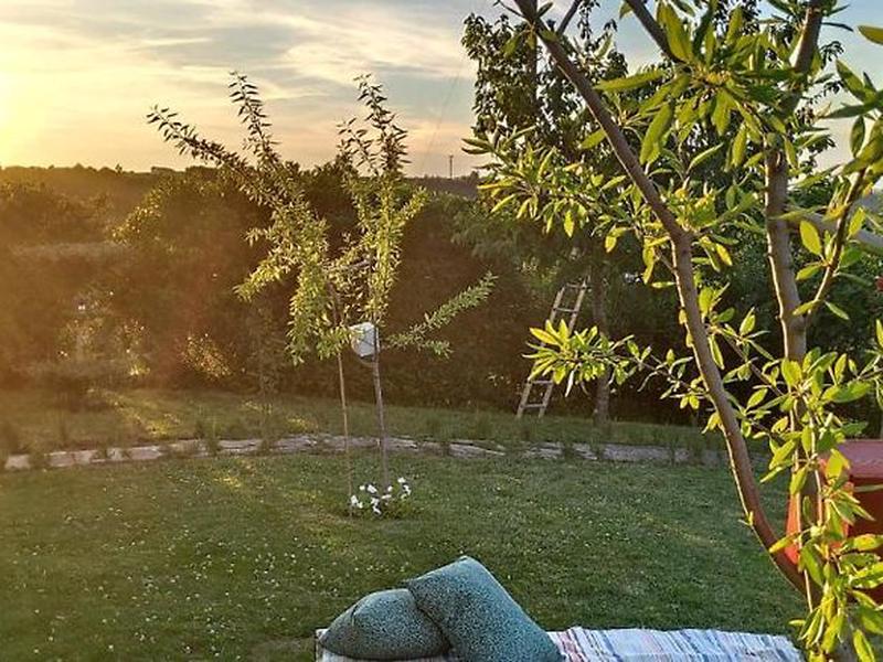 64E64EBDA5EDE81B82A07D62BE36913D