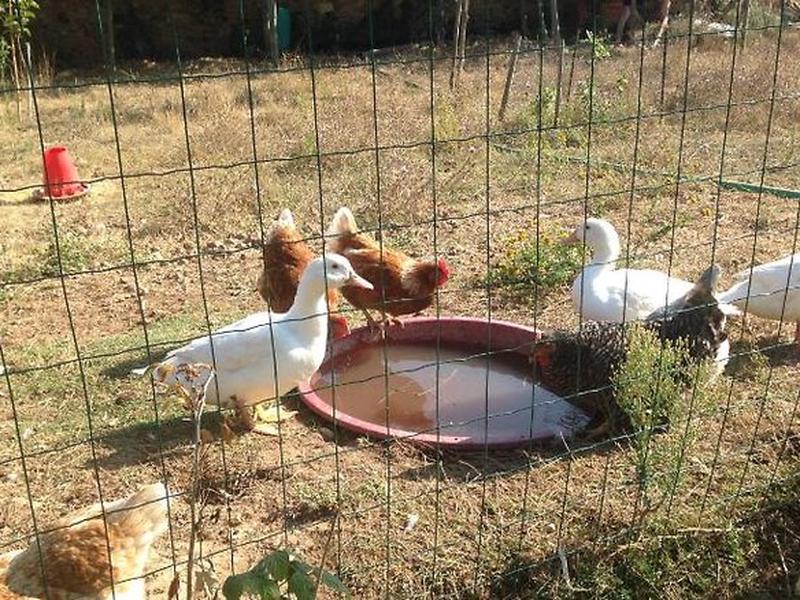 D24519BDDDF0536A4F47A99F35E6CF9A