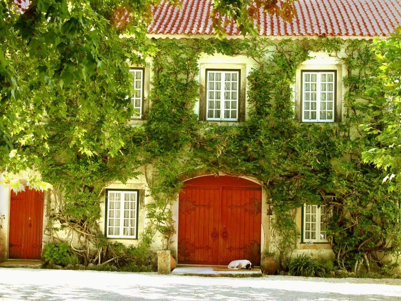 E4975896B70417B481DA969FEAEF4DD8