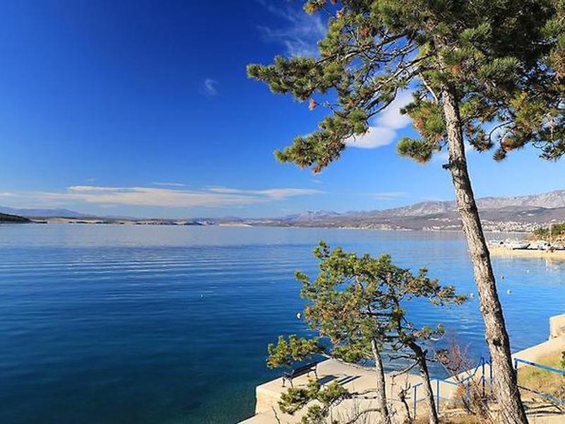 605E223EC326890950B22B41EB347DDA