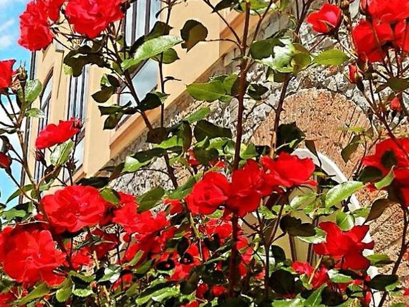 32EAB92AA304BEA7538144B8545113F3