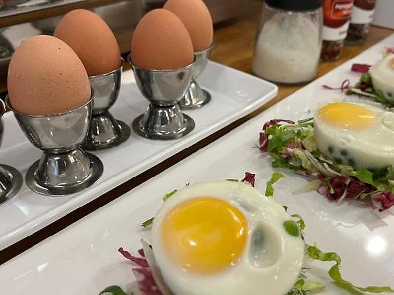 E6587CAB550216F69876DE5B84936409