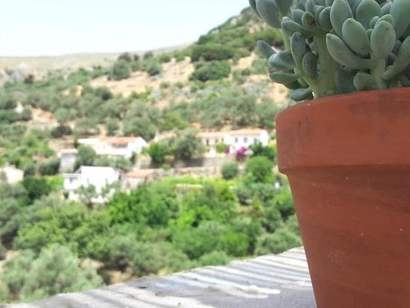 4E1A1214C96031FB2E083EB0E8A4D7C6