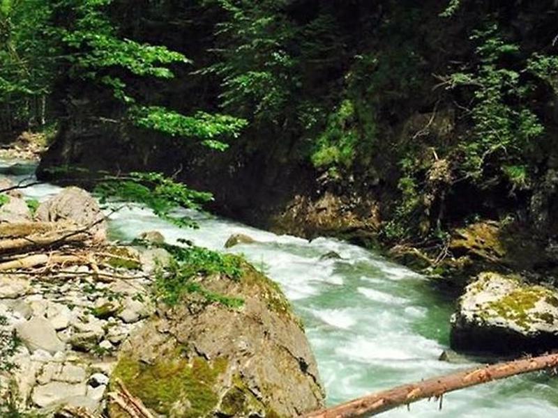 83C10B427A9025204137C22C66C48FA6