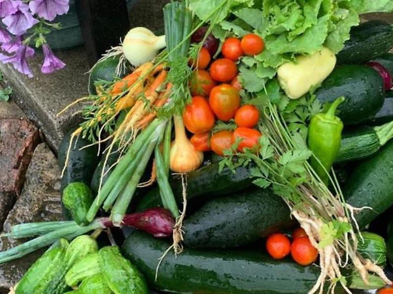 FD199759E331D98CDFF9FC4577D3274F