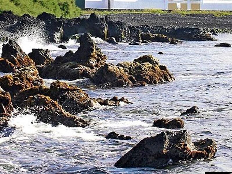 E6586B0336F670D7048F202DBEA68238