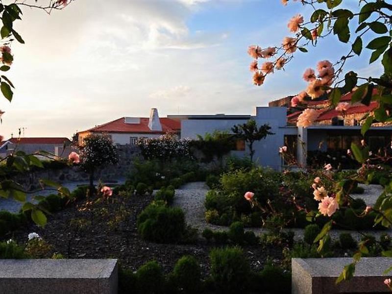 D066E283C4412CEAA286C77274E26877