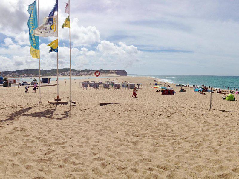 1D04F0733AF68655B8847A3AE773A1D8