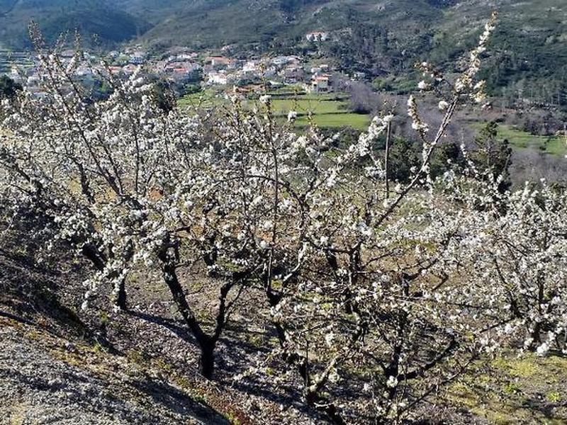 69EF97B88F3B8772BF8EB58BB533602D