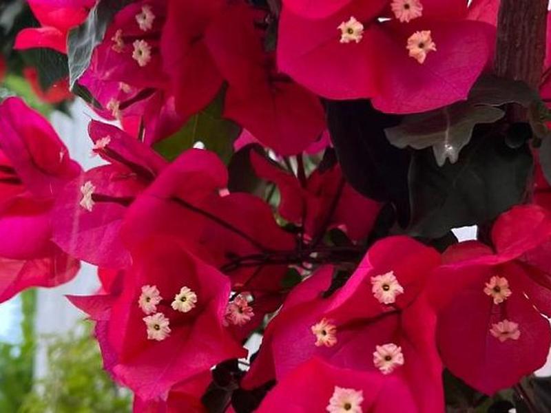 1C39B4895ABE8596695830DA6A010960