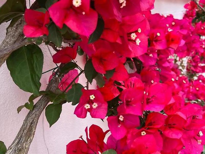 4F385A7960F20C150DA249211AF9C7E9