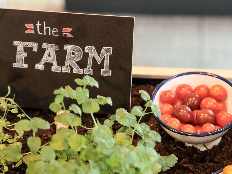 08D3B0277D7396386CB49E27498BC7D2